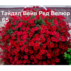 Тайдал Вейв Ред Велюр 65