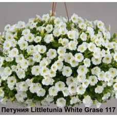 Петуния Littletunia White Grase 117