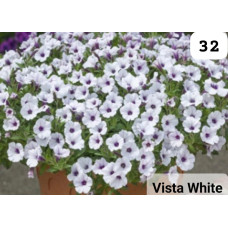 Vista White 32