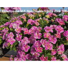 Калибрахоа M.F. Neo Double Loopy Pink 106