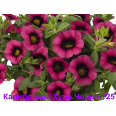 Калибрахоа  Хула Черри 125