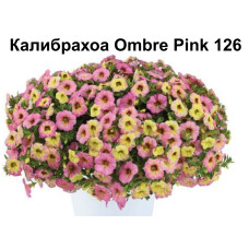 Калибрахоа Ombre Pink 19122 (126)