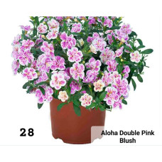 Калибрахоа Aloha Double Pink Blush 28