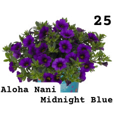 Калибрахоа Aloha Nani Blue 25