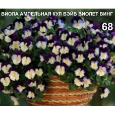 ВИОЛА АМПЕЛЬНАЯ КУЛ ВЭЙВ ВИОЛЕТ ВИНГ 68