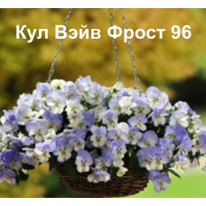 Виола ампельная Кул Вэйв Фрост 96