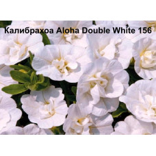 Калибрахоа Aloha Double White 156