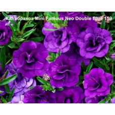 Калибрахоа Mini Famous Neo Double Blue 159