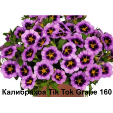 Калибрахоа Tik Tok Grape 160