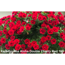 Калибрахоа Aloha Double Cherry Red 166
