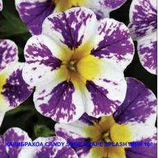 КАЛИБРАХОА CANDY SHOP GRAPE SPLASH IMPR 168