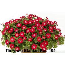 Петуния Blanket Red 105