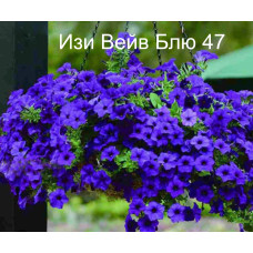 Изи Вейв Блю 47