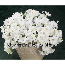 Изи Вейв Вайт    48