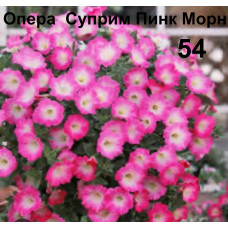 Опера  Суприм Пинк Морн 54
