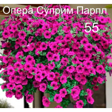 Опера Суприм Парпл 55