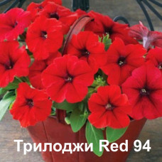 Петуния ампельная Трилоджи Red 94