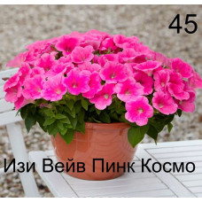 Петуния ампельная Изи Вейв Пинк Космо 45 0.5л