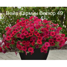 Вейв Кармин Велюр 49 0.5л