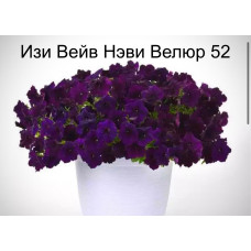 Петуния ампельная Изи Вейв Нэви Велюр 52 0.5л