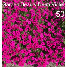 Ампельная петуния Garden Beauty Deep Violet 50 0.5л