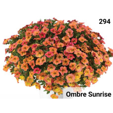 Калибрахоа Ombre Sunrise 294