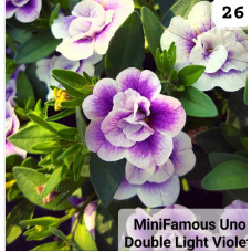 MiniFamous uno Double Light Violet